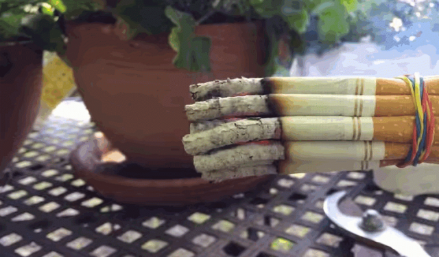 Những mẹo nhỏ giúp chụp ảnh đẹp hơn trên iPhone