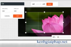 Hướng dẫn cắt ảnh bằng  các công cụ online  không cần cài đặt