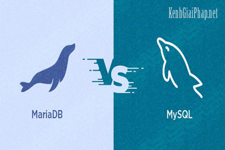 Hướng dẫn đặt lại (reset) mật khẩu root mysql hoặc Mariadb